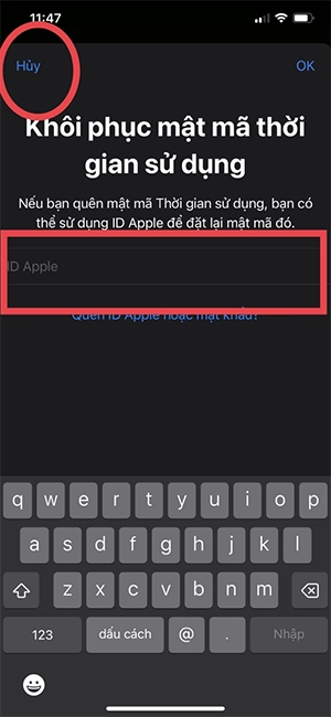 Cách đặt mật khẩu ứng dụng trên iPhone 11 đơn giản 5