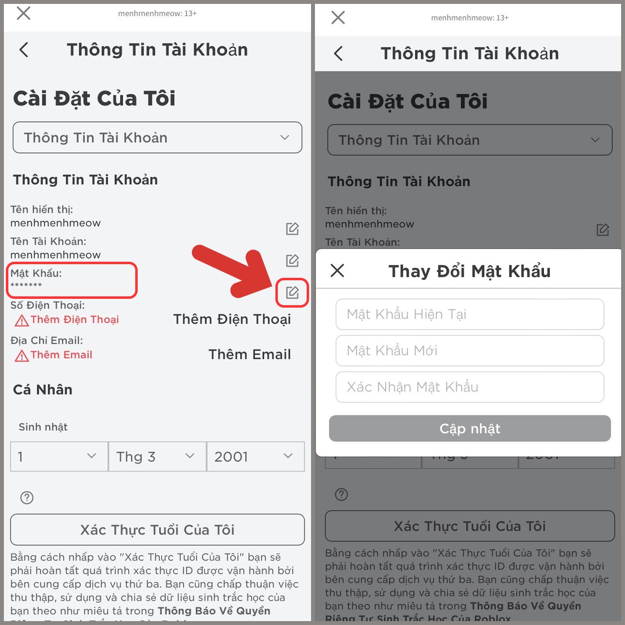 Cách đổi mật khẩu Roblox trên điện thoại 2