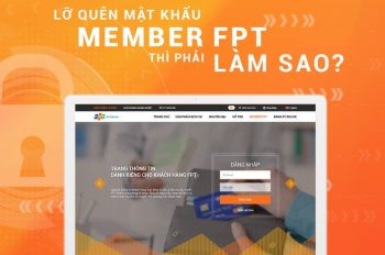 Hướng dẫn chi tiết khi Member FPT quên mật khẩu và cách khôi phục