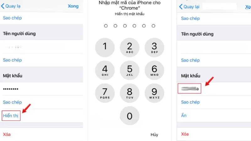 Xem mật khẩu đã lưu trên Điện Thoại iOS 2